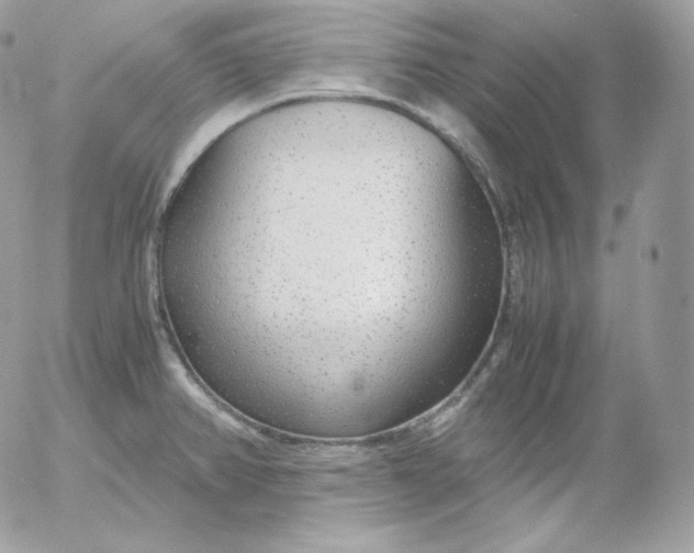 X0000052601382200507221623