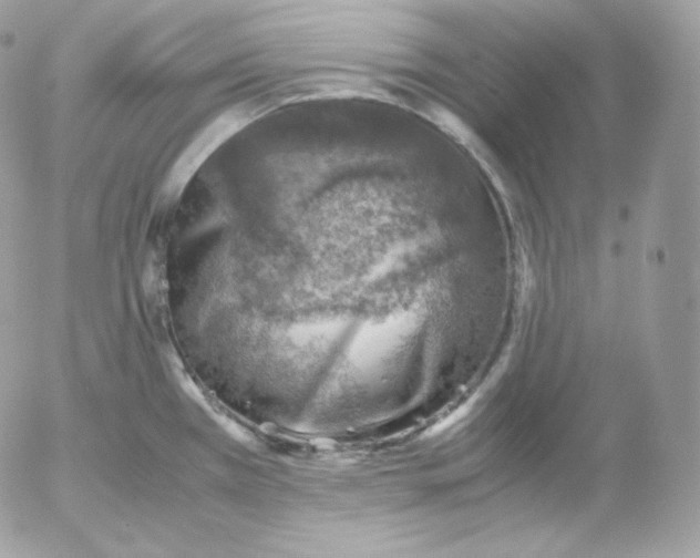 X0000052601385200507221623