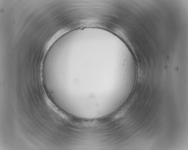 X0000052601386200507221623