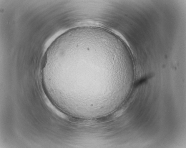 X0000052601387200507221623