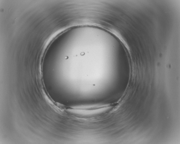 X0000052601388200507221623