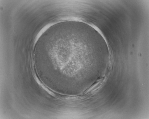 X0000052601389200507221623