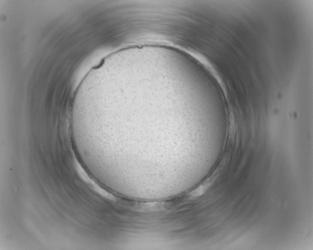 X0000052601390200507221623