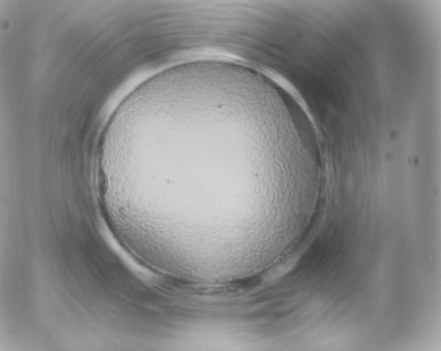 X0000052601391200507221623