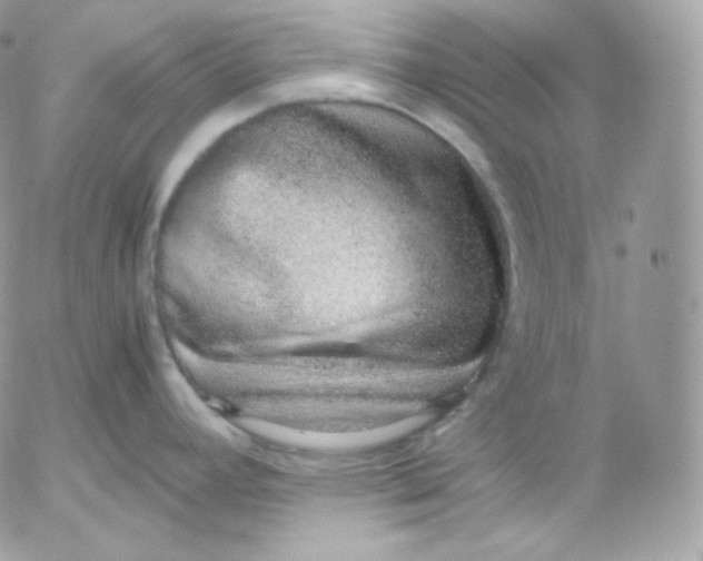 X0000052601392200507221623