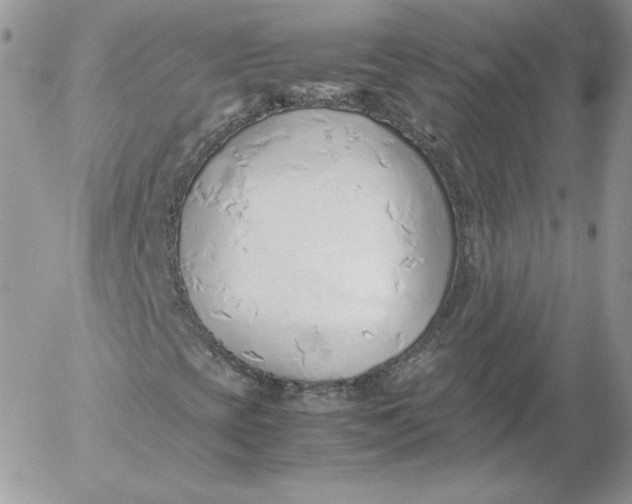 X0000052601393200507221622