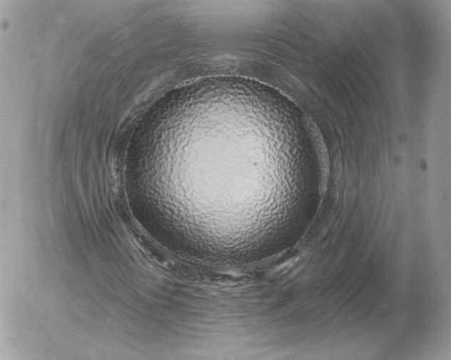 X0000052601394200507221622