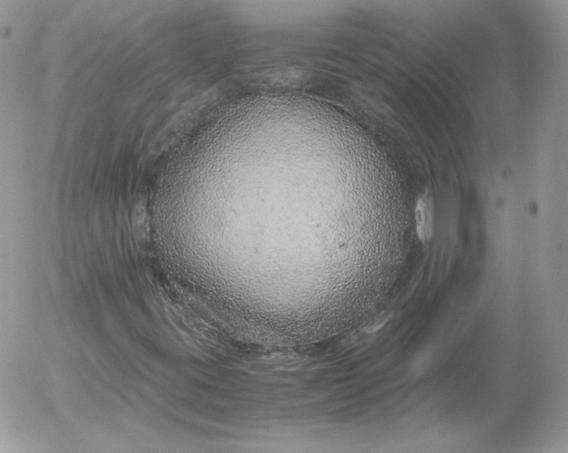 X0000052601395200507221622