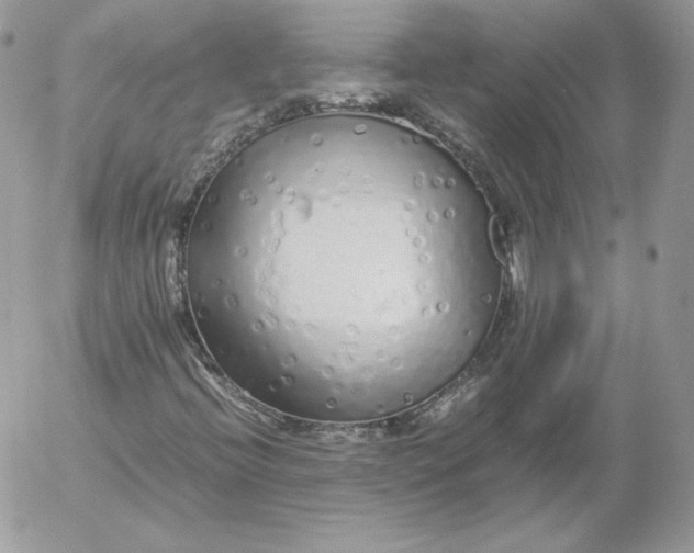 X0000052601396200507221622