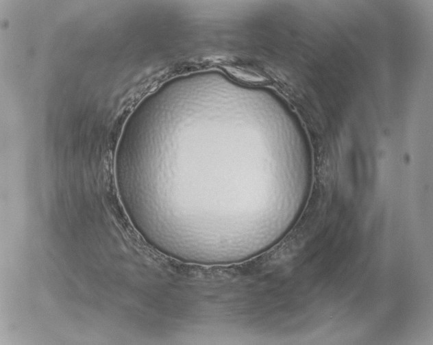 X0000052601397200507221622