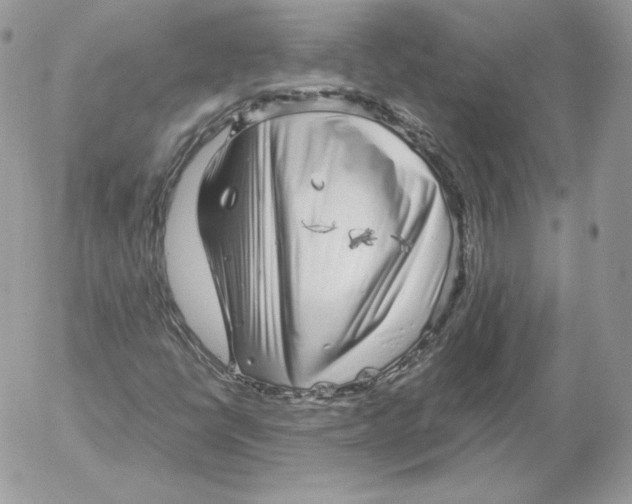 X0000052601398200507221622