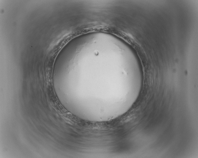 X0000052601399200507221622