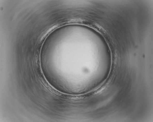 X0000052601401200507221622