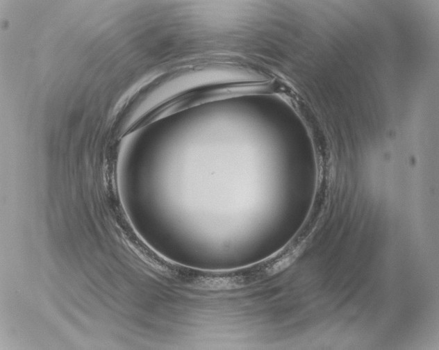 X0000052601402200507221622