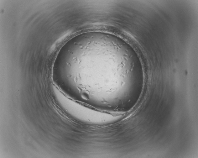 X0000052601403200507221622