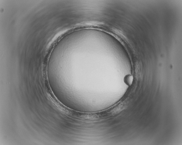 X0000052601404200507221622