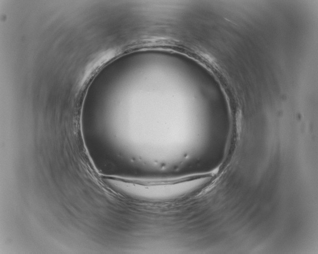 X0000052601405200507221622