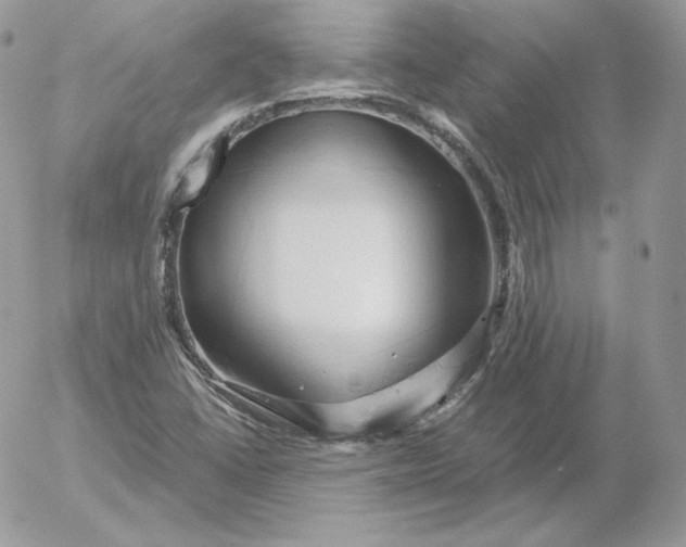 X0000052601406200507221622