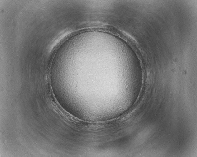 X0000052601407200507221622