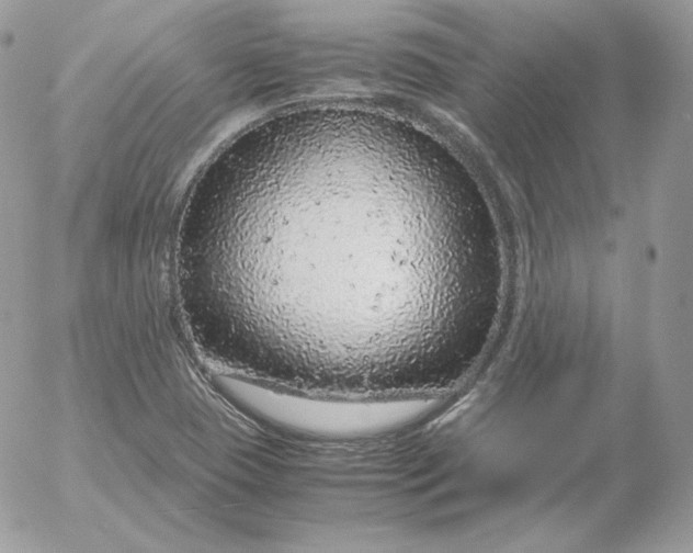 X0000052601409200507221622