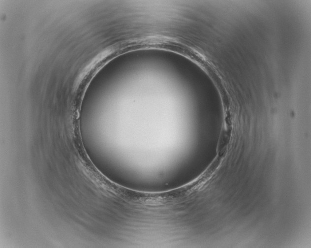 X0000052601410200507221622