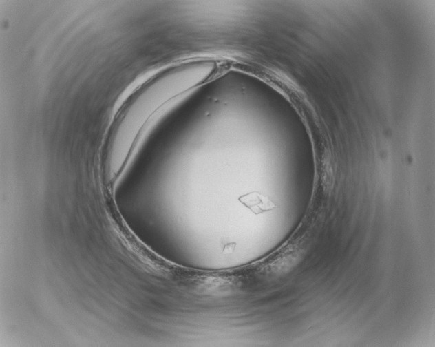 X0000052601412200507221622