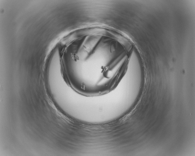 X0000052601414200507221622