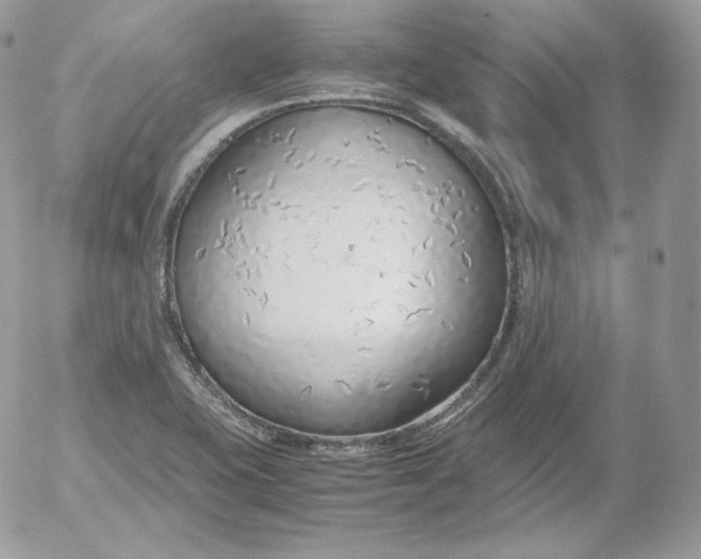 X0000052601415200507221622