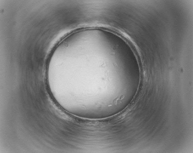 X0000052601416200507221622