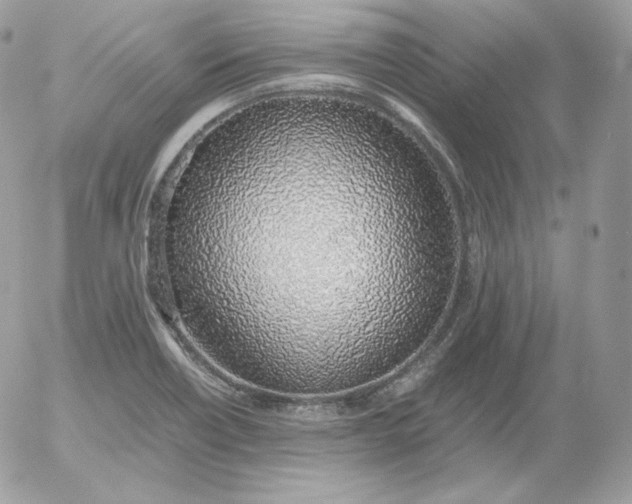 X0000052601418200507221622