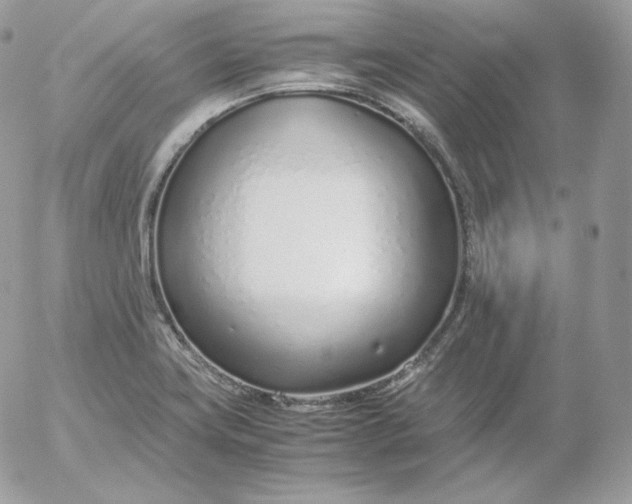 X0000052601419200507221622