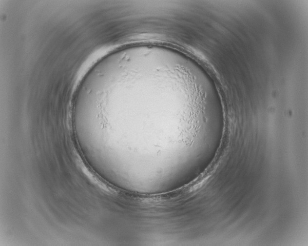 X0000052601421200507221622