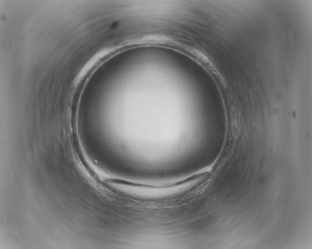 X0000052601422200507221622