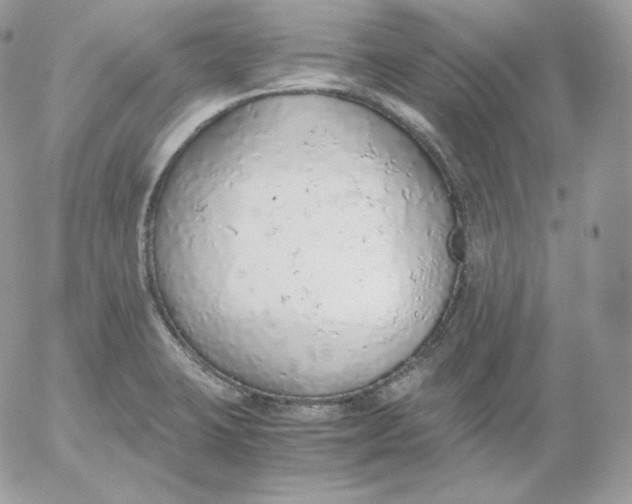 X0000052601423200507221622