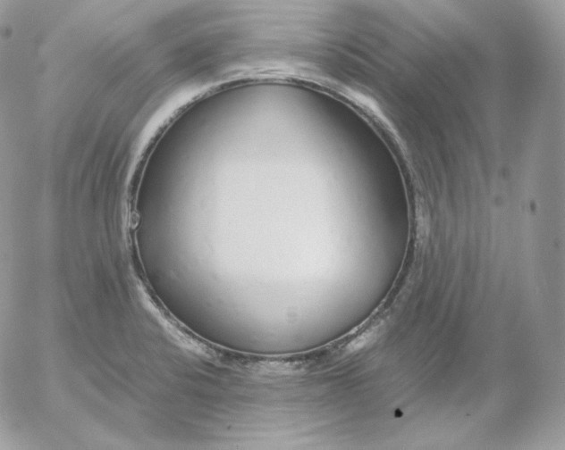 X0000052601424200507221622