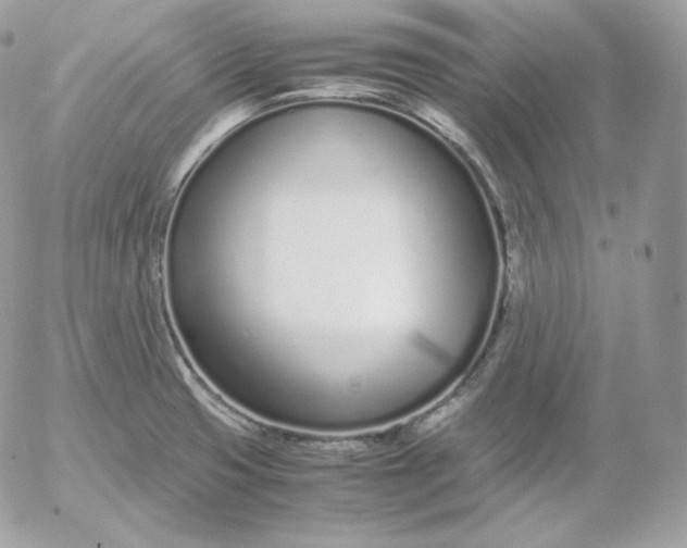 X0000052601425200507221622