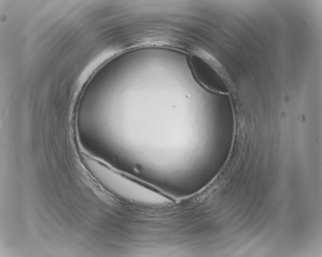 X0000052601427200507221622