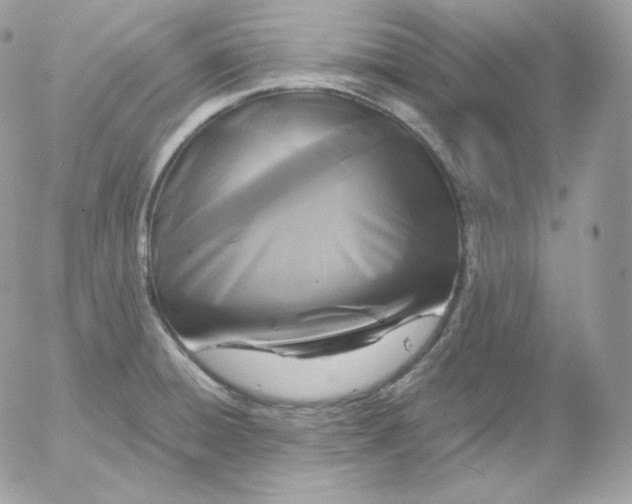 X0000052601428200507221622