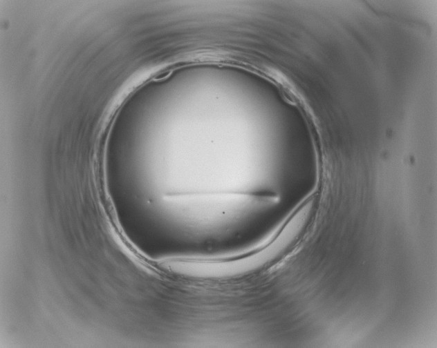 X0000052601429200507221622