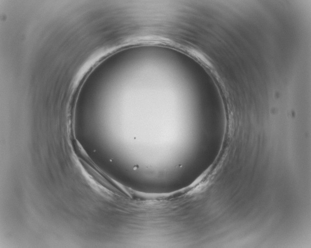 X0000052601430200507221622