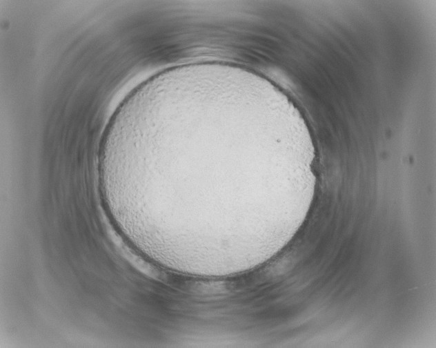 X0000052601431200507221622