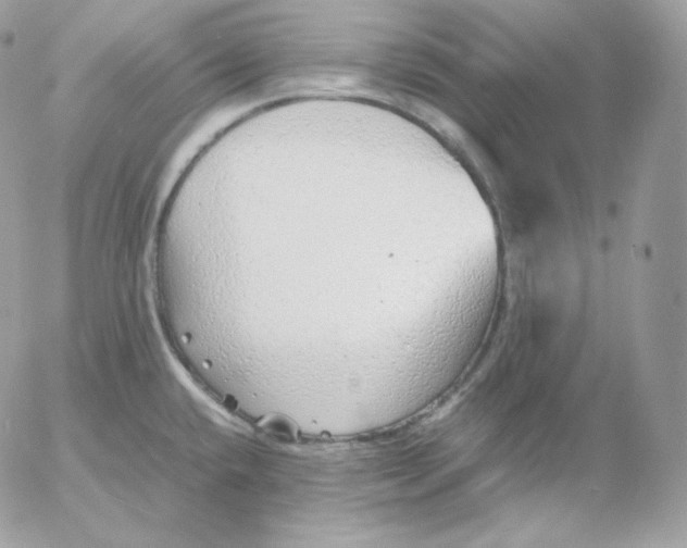 X0000052601432200507221622