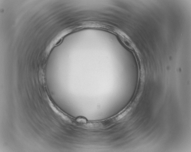 X0000052601433200507221623