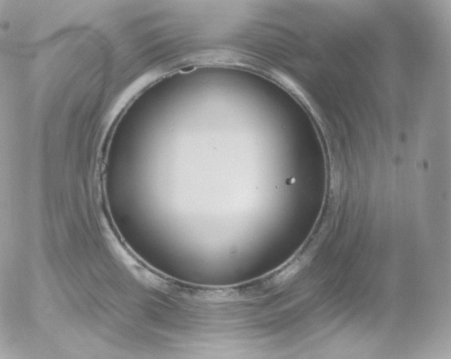 X0000052601434200507221623