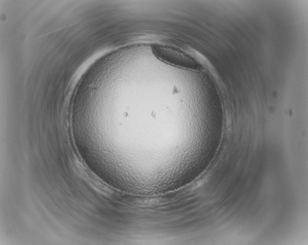 X0000052601435200507221623