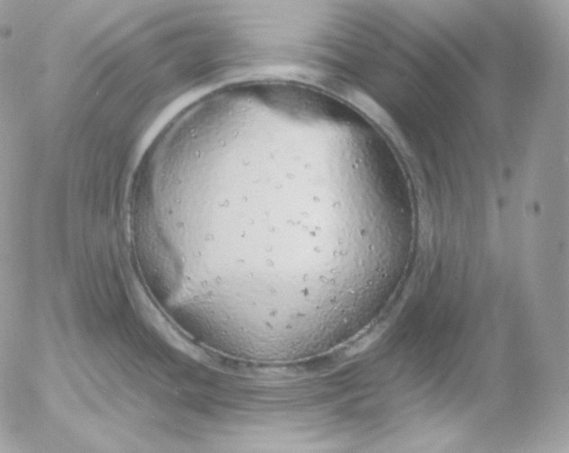 X0000052601436200507221623