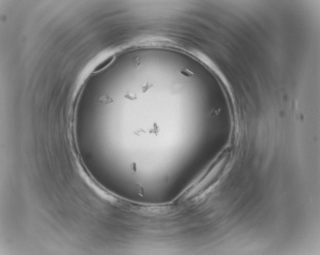 X0000052601437200507221623