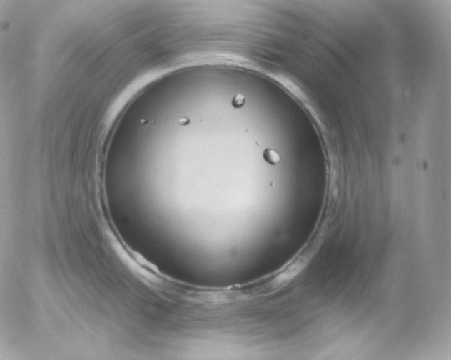 X0000052601438200507221623