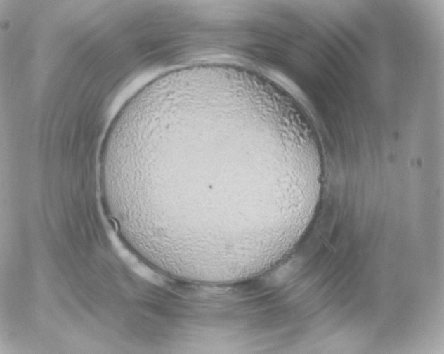 X0000052601439200507221623