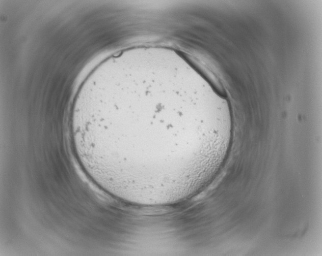 X0000052601440200507221623